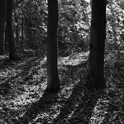 2018-10 Prague/Sächsische Schweiz/DSC_5839.JPG